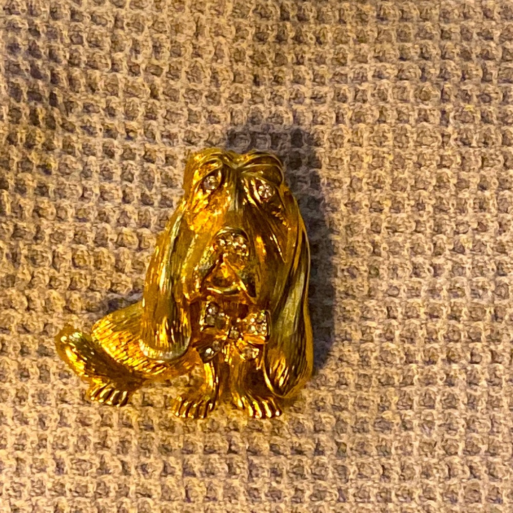 Basset hound hold brooch